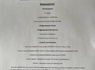 Grajewo ogłoszenia: Sprzedam Hyundaia i20 wersja GB w idealnym stanie z oryginalnym i... - zdjęcie