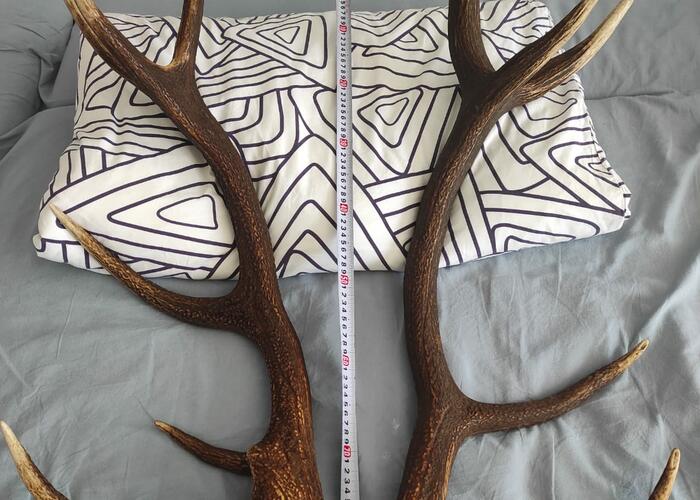 Grajewo ogłoszenia: Sprzedam waga 6,84 cena do uzgodnienia