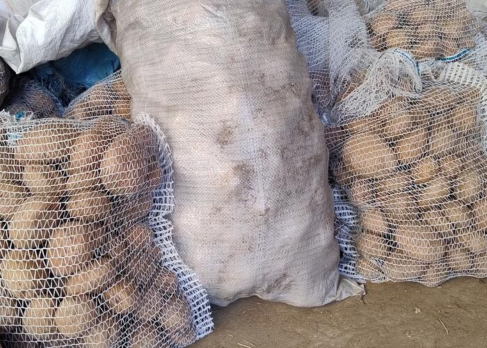 Grajewo ogłoszenia: Sprzedam:
- ziemniaki jadalne, smaczne, irga, vineta, catania, na...